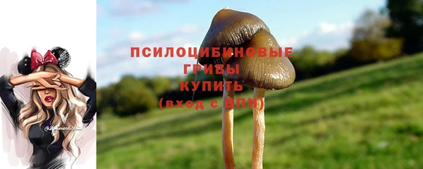 героин Новодвинск
