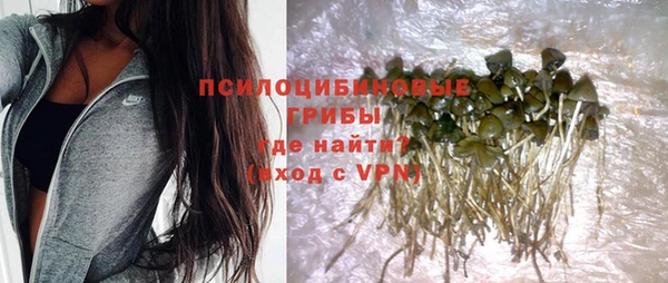 мет Новозыбков