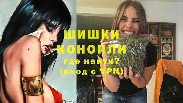 мет Новозыбков