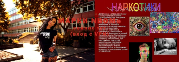 мет Новозыбков