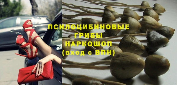 мет Новозыбков