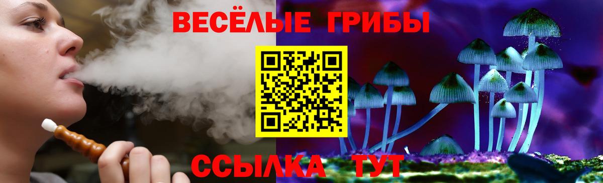 Галлюциногенные грибы Magic Shrooms  Вход с VPN  Ялуторовск  Галлюциногенные грибы ЛСД 