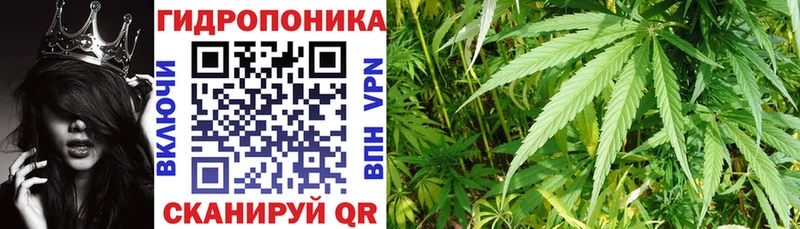 магазин продажи   Ялуторовск  MEGA ONION  Бошки марихуана White Widow 